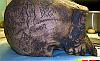 The Skull of the Daemon Rumphapithecus #11