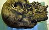 The Skull of the Daemon Rumphapithecus #12