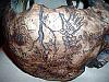 The Skull of the Daemon Rumphapithecus #15