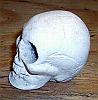 Skull #2