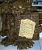 TROLL GARGOYLE DISPLAY #3