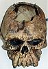 The Skull of the Daemon Rumphapithecus #4